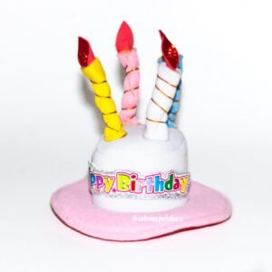 Gorro de cumpleaños para mascotas – Rosado