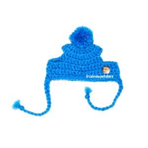 Gorro de Lana para mascotas